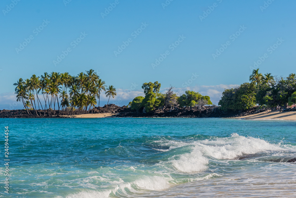 Tropical beach with turquoise blue water and palm trees