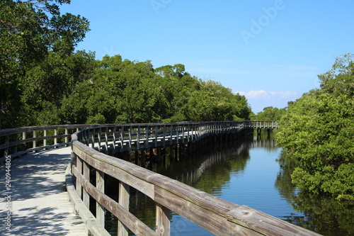 Old wooden bridge in nature preserve