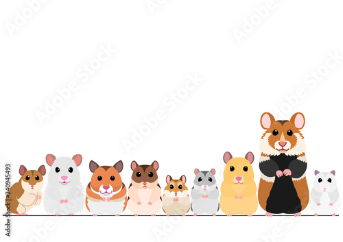 hamsters in a row 