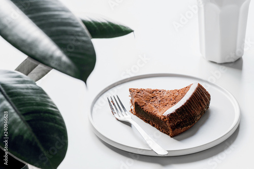 Soft chocolate cake with rubber plant at the cafe, ficus elastica plant with minimal style photo