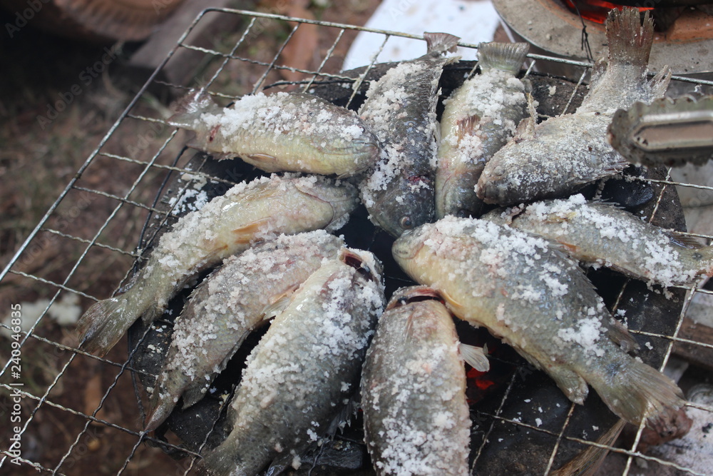 fresh fish on grill
