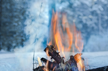Campfire burns in the snow in the woods, on a background of snow covered trees. campfire burning in cold winter. Snow, forest and fire. Winter. Tourism. Flames on snow. Winter background. Nature.
