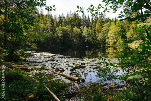 tranquil lake in Norway