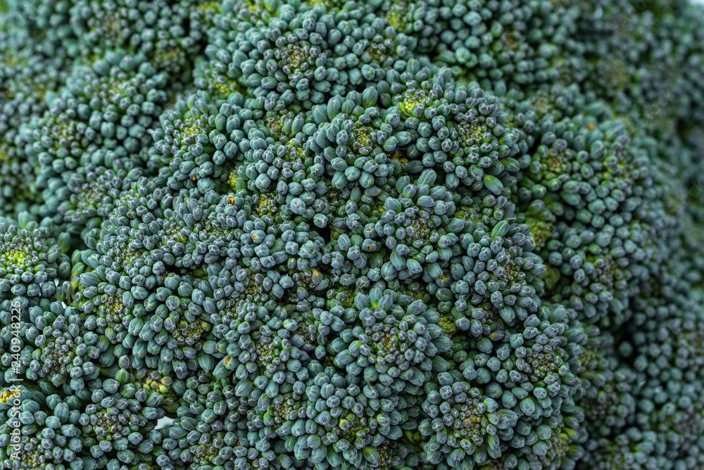 Closeup of broccoli