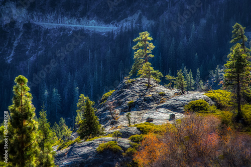 Clifftop Trees at Emerald Bay State Park photo