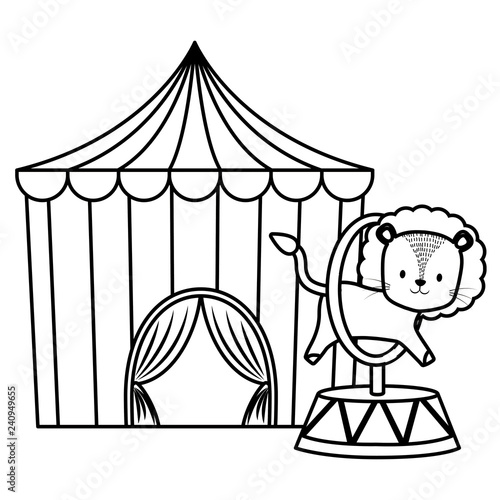cute circus lion jumping ring in tent