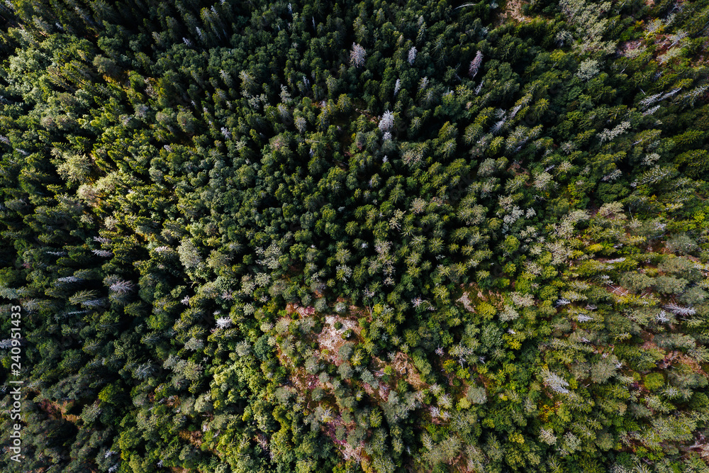forst in norway from above forst in norway from above