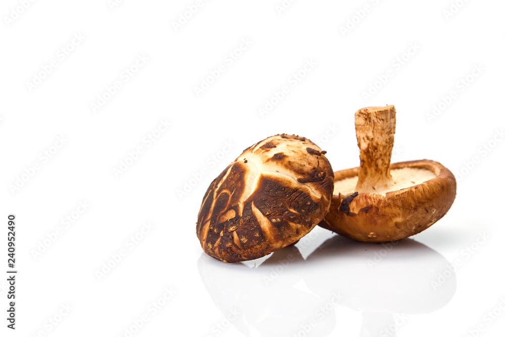 Shiitake mushroom on the White background Shiitake mushroom on the White background