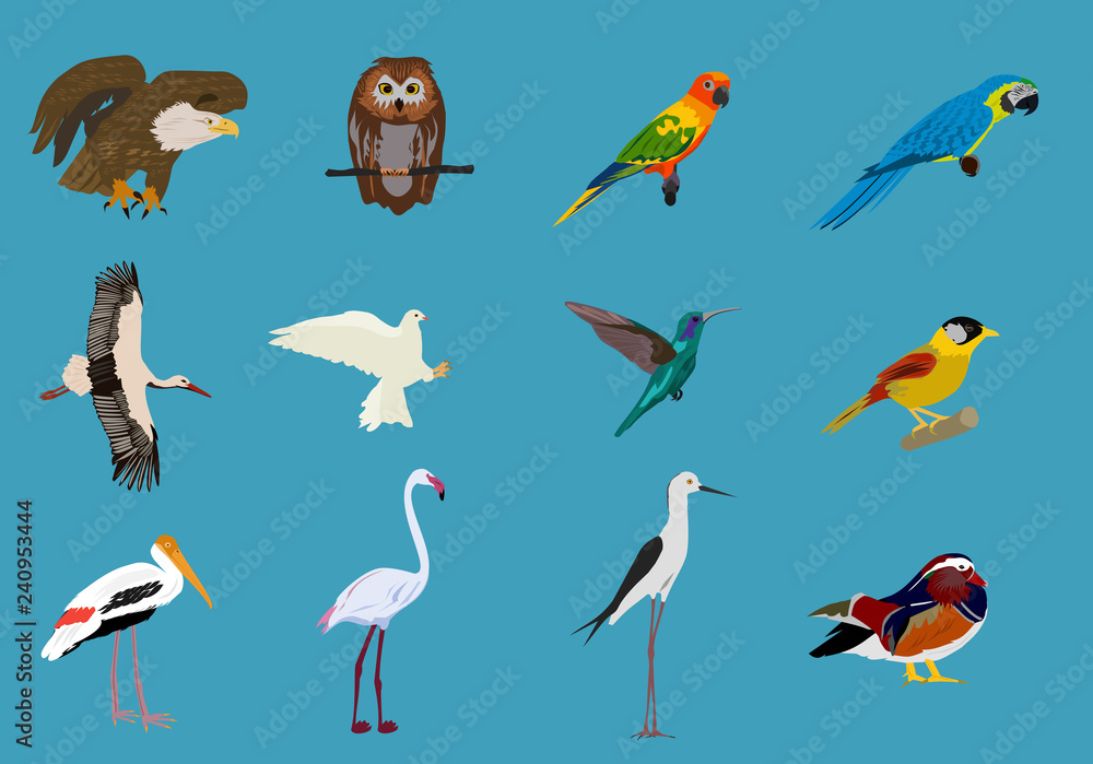 Various sets of birds Blue background,animals vector