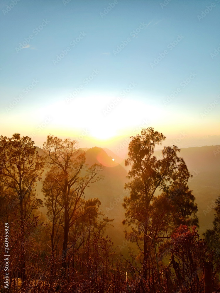 Fototapeta premium Good Morning