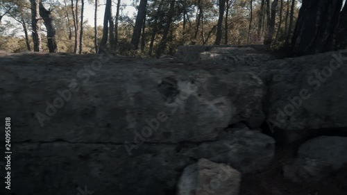 View Of Ancient Tombs In Forest. Steady Cam Shot Tomb Among Trees. teady Cam Shot, Walking On Track To Tomb In The Forest.Ancient Tombs In Forest. Ancient tomb on lycian way in Turkey. photo