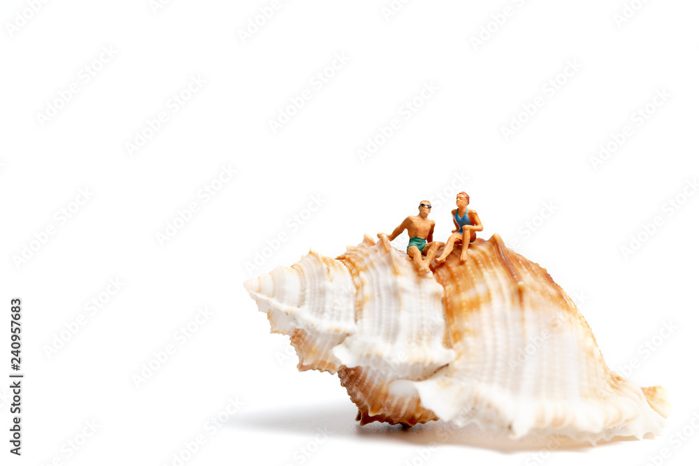 Miniature people wearing swimsuit relaxing on seashells on white background , Valentine's Day concept Miniature people wearing swimsuit relaxing on seashells on white background , Valentine's Day concept