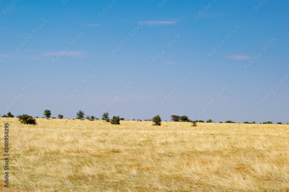 2018-10 Namibia 2018-10 Namibia