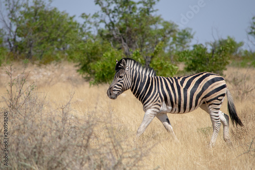 2018-10 Namibia