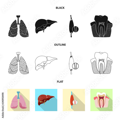 Isolated object of body and human logo. Set of body and medical stock symbol for web.