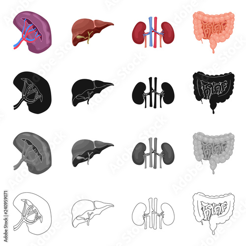 Isolated object of body and human icon. Collection of body and medical stock vector illustration.