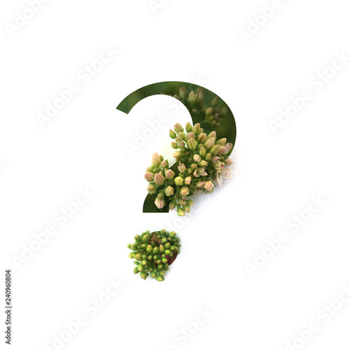Cut out question mark with growing plant inside. Part of the alphabet.