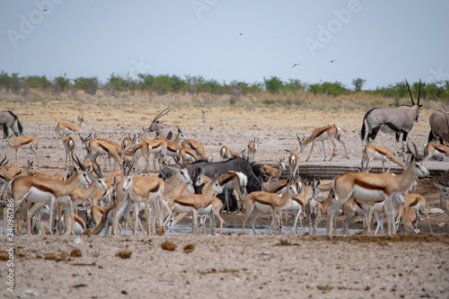 2018-10 Namibia