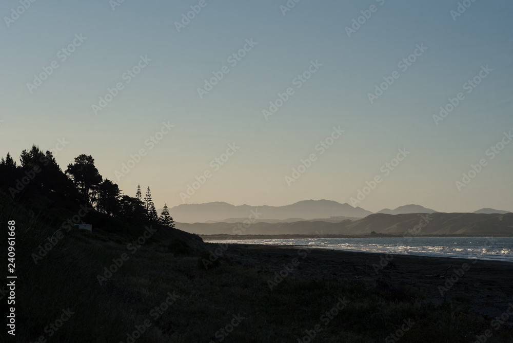 Marfells Beach at sunset with norfolk pines at the top of the beach silhouetted against a clear sky, and mountains in a haze in the background.