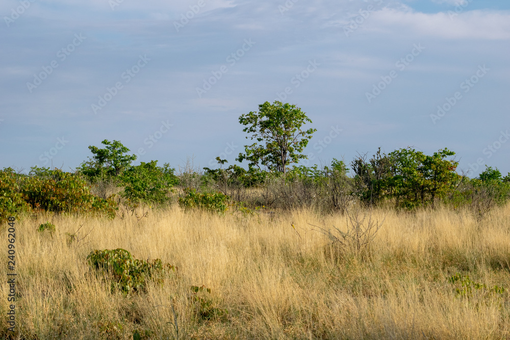 2018-10 Namibia 2018-10 Namibia