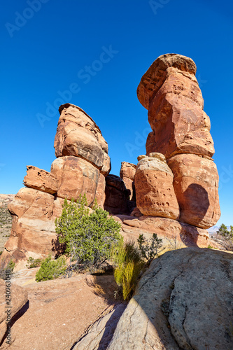 Unique rock formations in the Colorado National Monument Park, Colorado, USA.