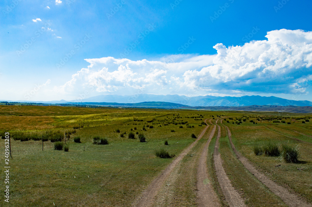 Obraz premium road in the field