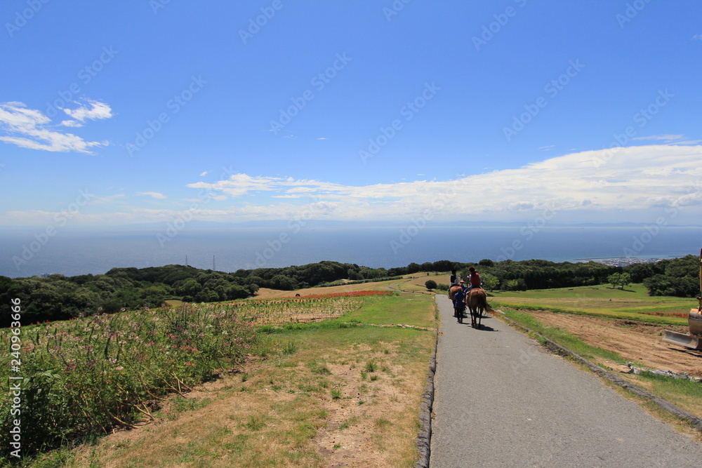 淡路島 淡路島
