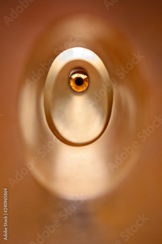 Eye looking through peep hole 