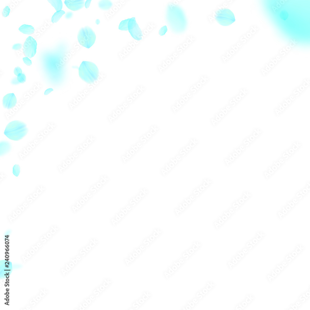 Turquoise flower petals falling down. Overwhelming Turquoise flower petals falling down. Overwhelming
