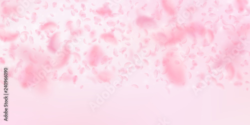 Sakura petals falling down. Romantic pink flowers 