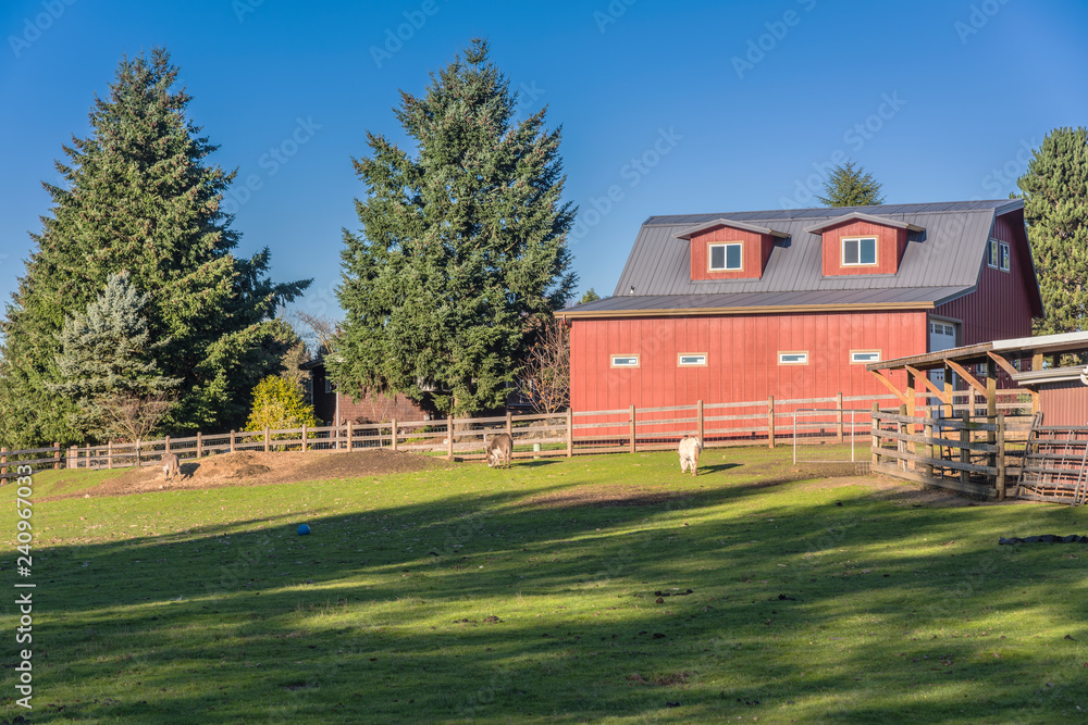 Obraz premium Country farm barn and fences Oregon.