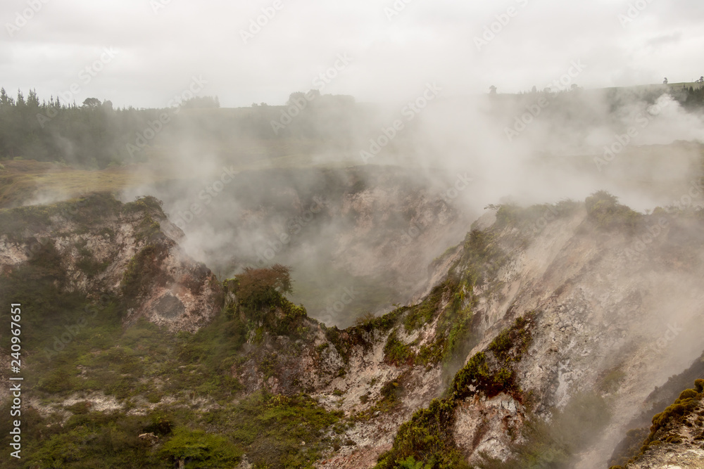 Primordial landscape of New Zealand, steam rising from ground
