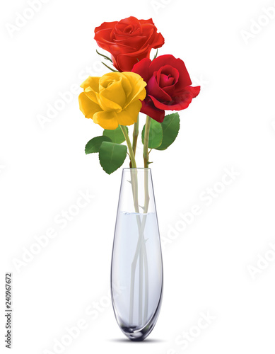 Colored Roses in a glass vase, isolated. Realistic vector 3d illustration