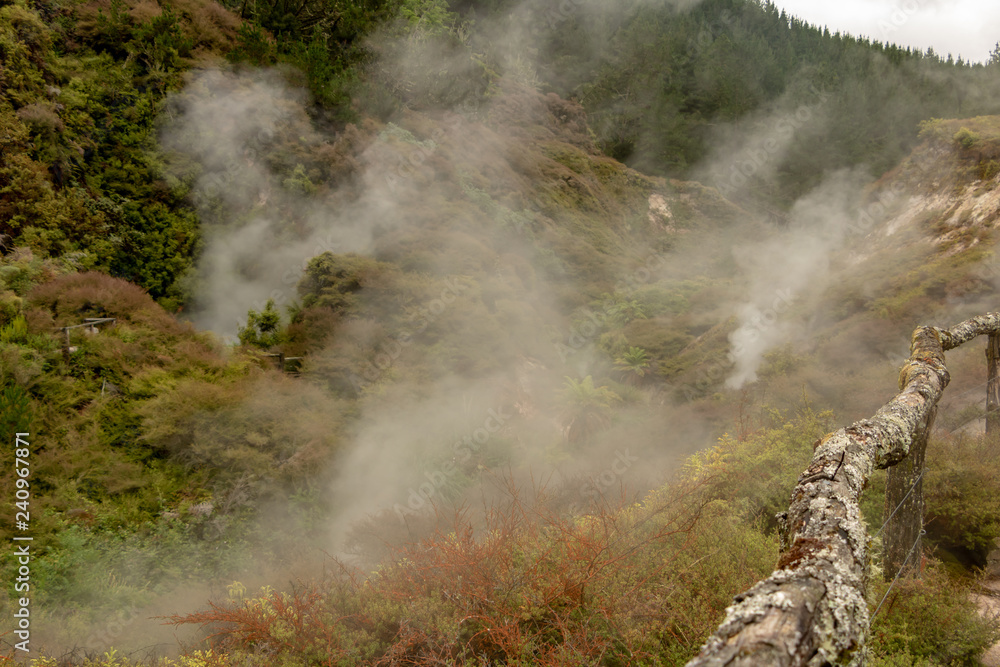 Steam rising from ground in New Zealand 