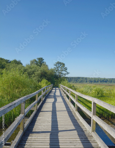 Wanderweg am Dreifelder Weiher,Westerwälder Seenplatte,Rheinland-Pfalz,Deutschland