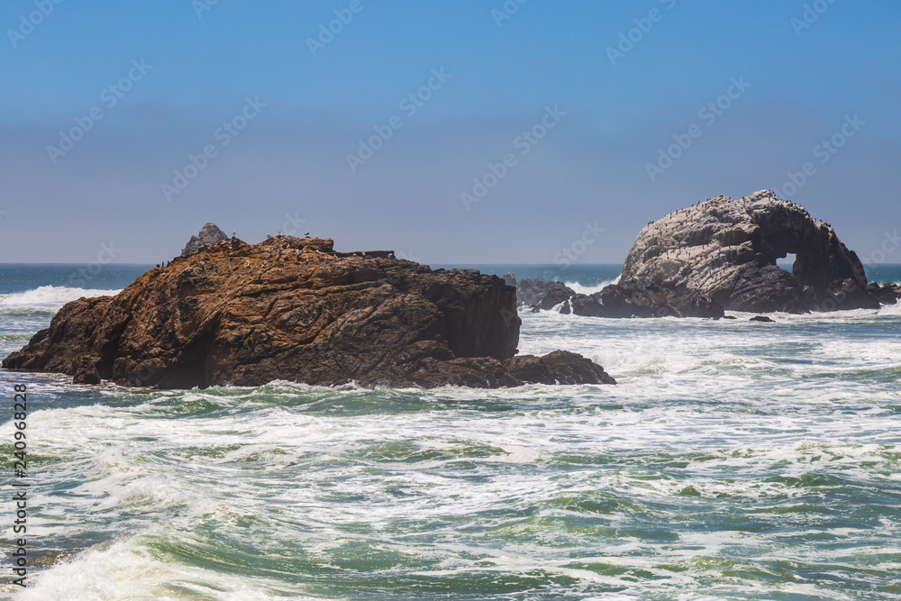 Birds resting on Rocks in the Pacific Ocean, off the Californian coast, near San Francisco