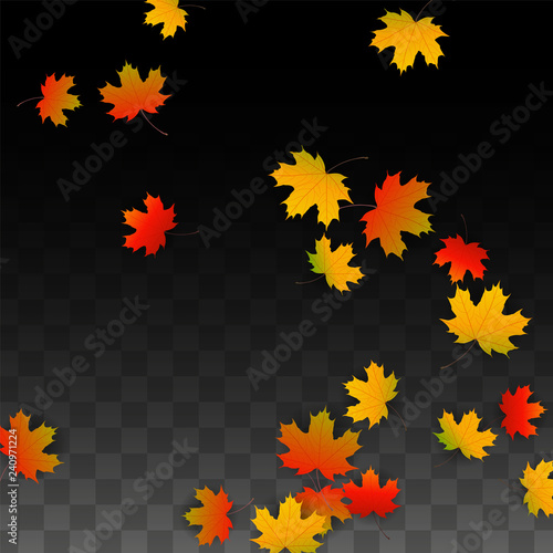 September Vector Background with Golden Falling Leaves. Autumn Illustration with Maple Red, Orange, Yellow Foliage. Isolated Leaf on Transparent Background. Bright Swirl. Suitable for Posters.