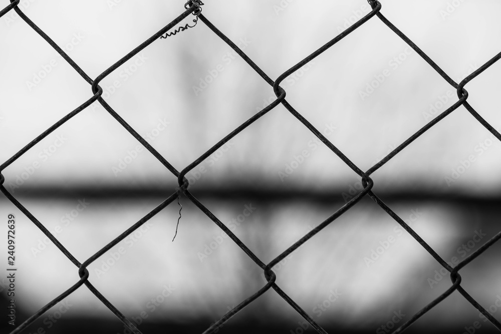 Garden wire fence close up macro shot at correctional institute in black and white. Garden wire fence close up macro shot at correctional institute in black and white.