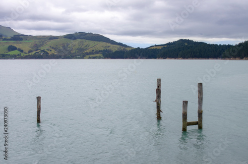 View from Quail Island © feng