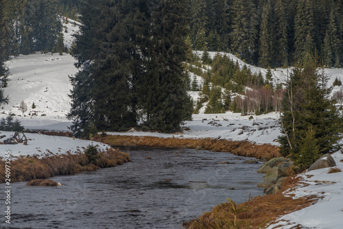 Roklansky creek near Modrava village in national park Sumava photo