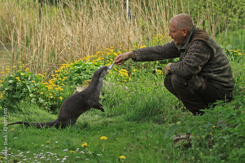 Animal care keeper Otter Lutra