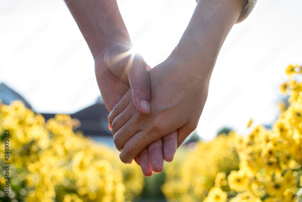Woman and man holding hand in Chinese Chrysanthemum flower field Woman and man holding hand in Chinese Chrysanthemum flower field