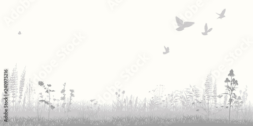 Monochrome summer meadow, field with grass and flowers. Vector silhouette.