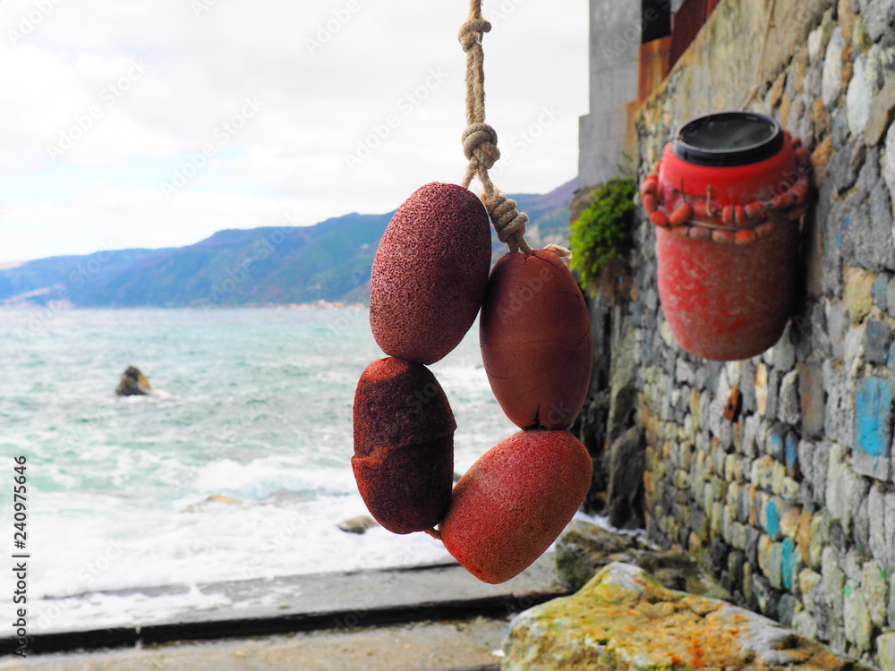 Mare, oggetti per la pesca Stock Photo | Adobe Stock