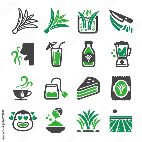 pandan icon set,vector and illustration photo