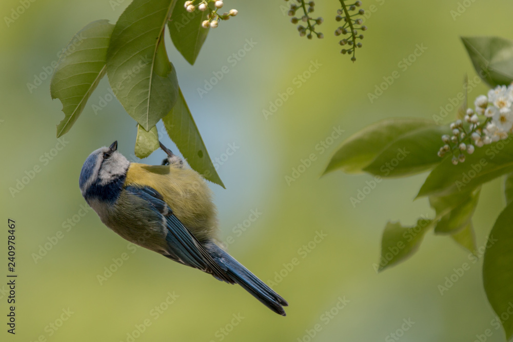 Obraz premium just hanging...