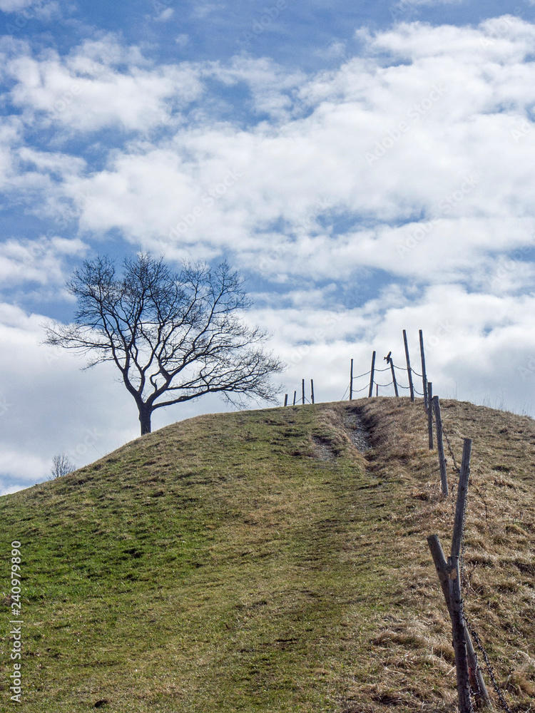Obraz premium Landschaft bei Murnau