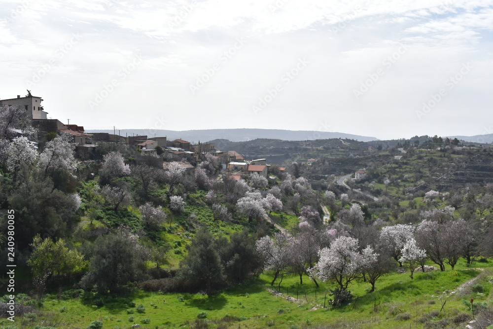 Obraz premium panoramic view of a village in spring
