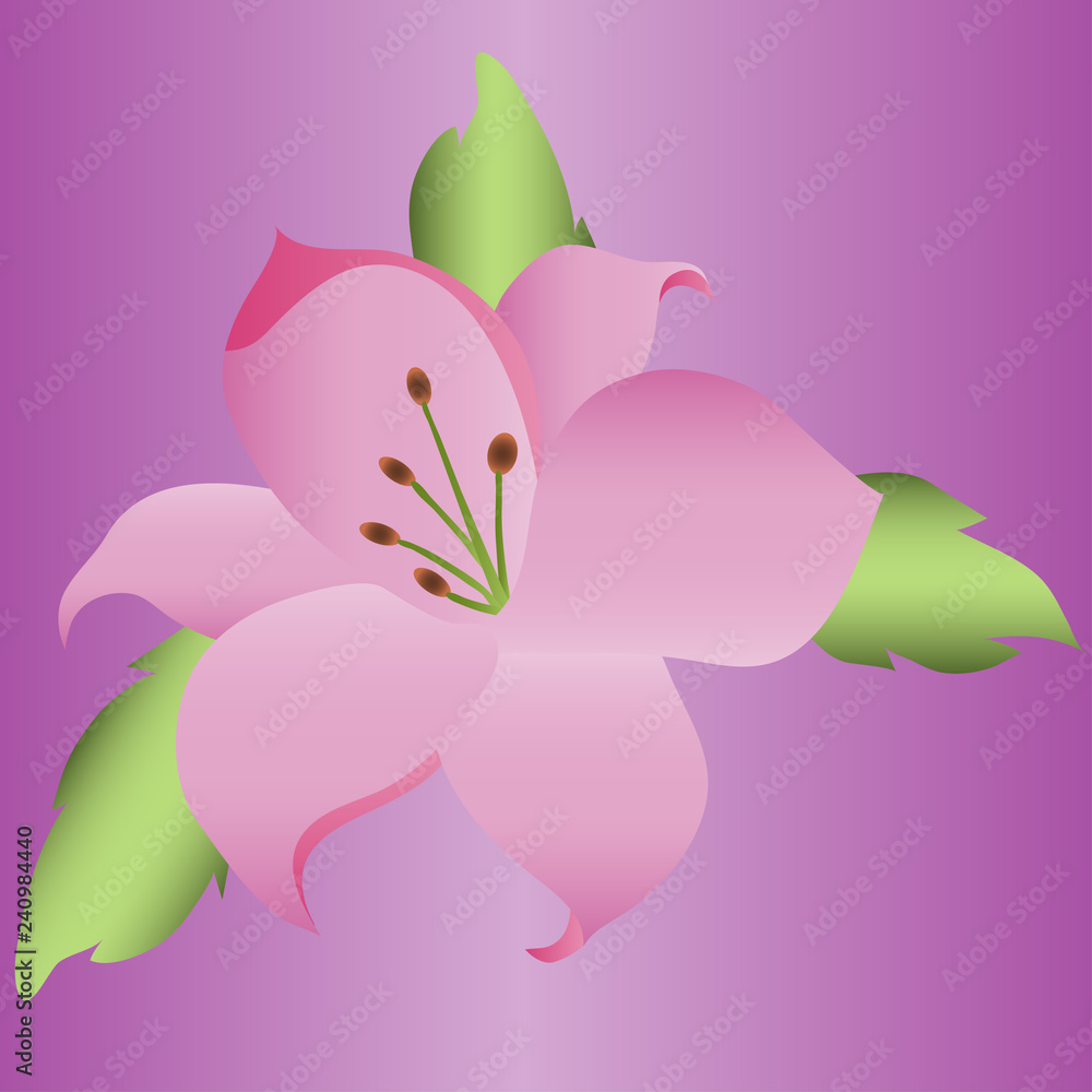 Lily on a purple background
Lily on a purple background
