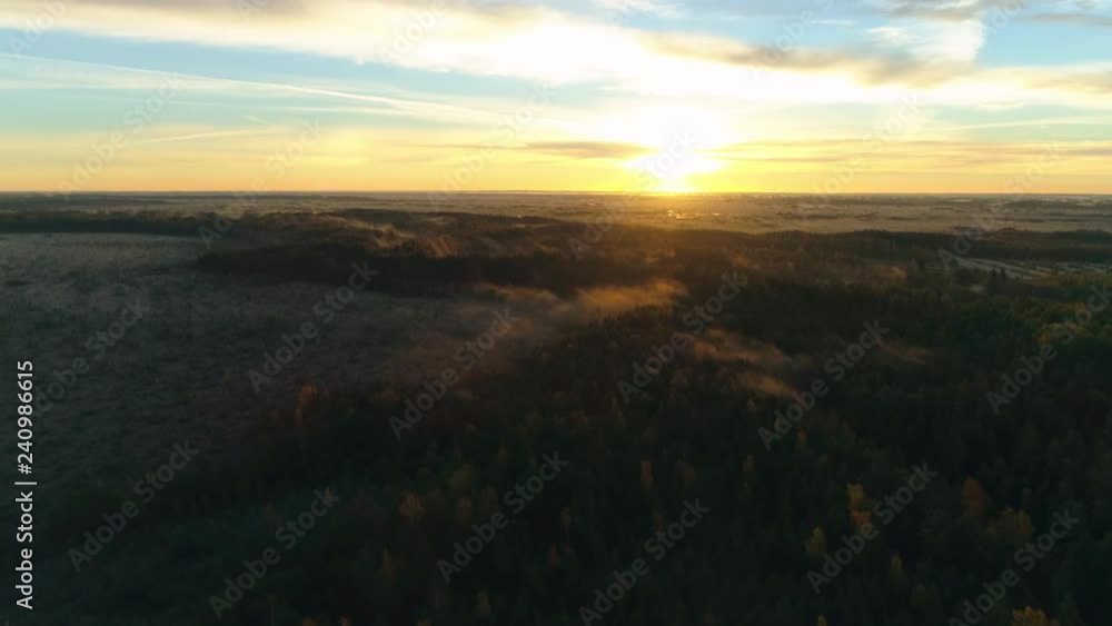 Sunrise over forest and bog landscape aerial shot Sunrise over forest and bog landscape aerial shot